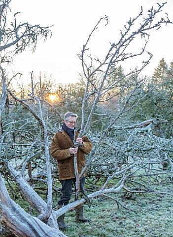 THE_HYDE_HEREFORDSHIRE_WINTER_FROST_JANUARY_SHANE_CONNOLLY_CUTTING_BRANCHES_OFF_A_FALLEN_TREE_MISTLE