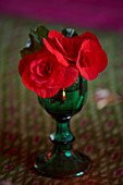 THE HYDE, HEREFORDSHIRE: JANUARY, TABLE DECORATION BY SHANE CONNOLLY, RED BEGONIA IN GREEN GOBLET