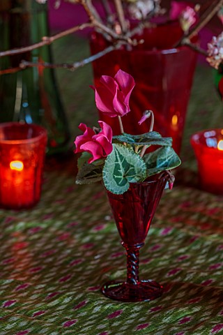 THE_HYDE_HEREFORDSHIRE_JANUARY_TABLE_DECORATION_BY_SHANE_CONNOLLY_PINK_CYCLEMEN_IN_RED_GOBLET