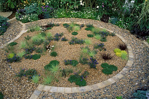 GRASSES__GROUND_COVER_IN_CIRCULAR_STONEEDGED_GRAVEL_BED_THE_EVENING_STANDARD_EROS_GARDENCHELSEA95DES