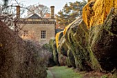 ROUSHAM, OXFORDSHIRE: JANUARY, FROST, FROSTY, WINTER, PATH BESIDE THE WALLED GARDEN, YEW HEDGES, HEDGING