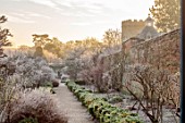 ROUSHAM, OXFORDSHIRE: JANUARY, FROST, FROSTY, WINTER, DAWN, SUNRISE, THE WALLED GARDEN, PATH, BORDERS