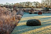 SILVER STREET FARM, DEVON: WINTER, FROST, FROSTY, JANUARY, BORDERS, HEDGES, HEDGING, GRASSES, YEW DOME, CLIPPED BEECH,  LAWNS