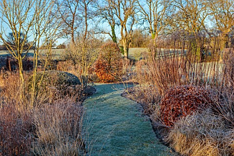 SILVER_STREET_FARM_DEVON_WINTER_FROST_FROSTY_JANUARY_BORDER_CLIPPED_BEECH_CLIPPED_YEW_PATH_COUNTRYSI