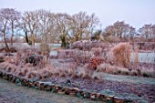 SILVER STREET FARM, DEVON: WINTER, FROST, FROSTY, JANUARY, BORDER, CLIPPED BEECH, CLIPPED YEW, PATH, COUNTRYSIDE BEYOND, WALL, GRASSES