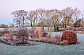 SILVER STREET FARM, DEVON: WINTER, FROST, FROSTY, JANUARY, BORDER, CLIPPED BEECH, CLIPPED YEW, PATH, COUNTRYSIDE BEYOND, GRASSES