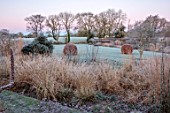 SILVER STREET FARM, DEVON: WINTER, FROST, FROSTY, JANUARY, BORDER, CLIPPED BEECH, CLIPPED YEW, GRASSES, LAWN, PENNISETUM HAMELN, CAMOMILE MOUND