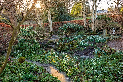 YORK_GATE_LEEDS_STREAM_SNOWDROPS_GALANTHUS_THE_DELL_WINTER_STREAM_PATHS_HEDGES_HEDGING