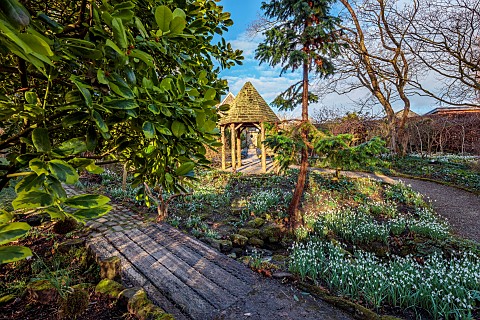YORK_GATE_LEEDS_SNOWDROPS_GALANTHUS_THE_DELL_WINTER_PATHS_BRIDGE_FEBRUARY_FOLLY_BUILDING