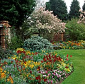 CORNER OF WALLED GARDEN WITH MALUS FLORIBUNDA IN BLOSSOM AND BORDERS OF MIXED SPRING BEDDING. MR & MRS STYLES GDN  OXON