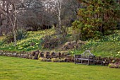 GRAVETYE MANOR, SUSSEX: LAWN, WALL, NARCISSUS, DAFFODILS, DRIFTS, CARPETS, YELLOW FLOWERS, BLOOMS, BLOSSOMS, WOODLAND, MARCH, SPRING, BENCH, SEAT