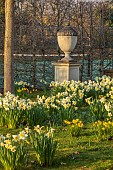 PRIORS MARSTON, WARWICKSHIRE, THE MANOR HOUSE: URN ON PEDESTAL AND DAFFODILS, NARCISSUS, MARCH