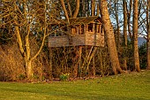 PRIORS MARSTON, WARWICKSHIRE, THE MANOR HOUSE: WOODEN TREE HOUSE, MARCH