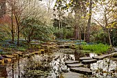 MORTON HALL GARDENS, WORCESTERSHIRE: POOL, WATER, STEPPING STONES, REFLECTIONS, CHERRIES, PRUNUS INCISA YAMADEI, UPPER POND, STROLL GARDEN, JAPANESE, MARCH, SPRING, SCILLA SIBERICA