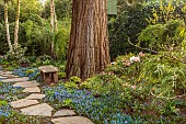 MORTON HALL GARDENS, WORCESTERSHIRE: UPPER POND, STROLL GARDEN, MARCH, SPRING, SCILLA SIBERICA, PATHS, PAVING, STONE, WOODEN BENCH, SEAT, WOODLAND, SPRING, MARCH