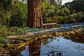 MORTON HALL GARDENS, WORCESTERSHIRE: UPPER POND, STROLL GARDEN, MARCH, SPRING, SCILLA SIBERICA, PATHS, PAVING, STONE, WOODEN BENCH, SEAT, WOODLAND, SPRING, POND, POOL, WATER