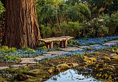 MORTON HALL GARDENS, WORCESTERSHIRE: UPPER POND, STROLL GARDEN, MARCH, SPRING, SCILLA SIBERICA, PATHS, PAVING, STONE, WOODEN BENCH, SEAT, WOODLAND, SPRING, POOL, POND, WATER