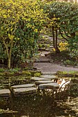MORTON HALL, WORCESTERSHIRE: THE STROLL GARDEN, SPRING, MARCH, STEPPING STONES OVER POND, WATER, POOL, PATHS, WOODLAND, SHADE, SHADY