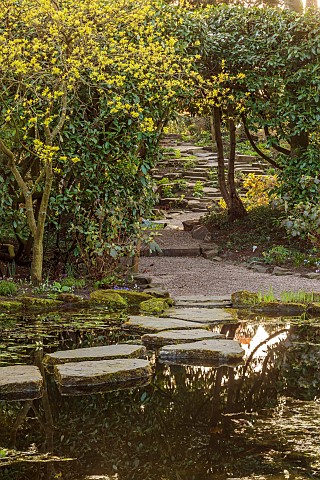 MORTON_HALL_WORCESTERSHIRE_THE_STROLL_GARDEN_SPRING_MARCH_STEPPING_STONES_OVER_POND_WATER_POOL_PATHS