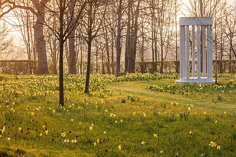 MORTON_HALL_WORCESTERSHIRE_THE_MEADOW_PARK_PARKLAND_SPRING_APRIL_WOODLAND_DAFFODILS_NARCISSUS_SUNRIS