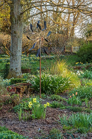 LITTLE_COURT_HAMPSHIRE_MARCH_SPRING_FLOWERS_BLOOMS_BORDER_DAFFODILS_WIND_CHIME