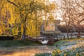 HEVER CASTLE, KENT: MARCH, WINTER, SPRING, FROST, MIST, WILLOW BRIDGE, WATER, CANAL, DAFFODILS