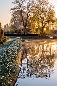 HEVER CASTLE, KENT: MARCH, WINTER, SPRING, FROST, MIST, WILLOW, BRIDGE, WATER, CANAL, DAFFODILS