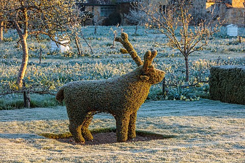 HEVER_CASTLE_KENT_MARCH_WINTER_SPRING_THE_TOPIARY_WALK_LAWN_CLIPPED_YEW_FROST_REINDEER