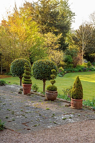 PINE_HOUSE_LEICESTERSHIRE_TERRACE_PATIO_TERRACOTTA_CONTAINERS_CLIPPED_TOPIARY_BOX_APRIL_SPRING