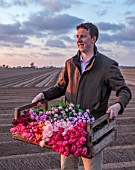 SMITH & MUNSON, LINCOLNSHIRE: EDWARD MUNSON HOLDING BOX OF FRESHLY PICKED TULIPS BESIDE FIELD, MAY, BULBS, SPRING