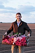 SMITH & MUNSON, LINCOLNSHIRE: EDWARD MUNSON HOLDING BOX OF FRESHLY PICKED TULIPS BESIDE FIELD, MAY, BULBS, SPRING