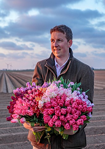 SMITH__MUNSON_LINCOLNSHIRE_EDWARD_MUNSON_HOLDING_BOX_OF_FRESHLY_PICKED_TULIPS_BESIDE_FIELD_MAY_BULBS