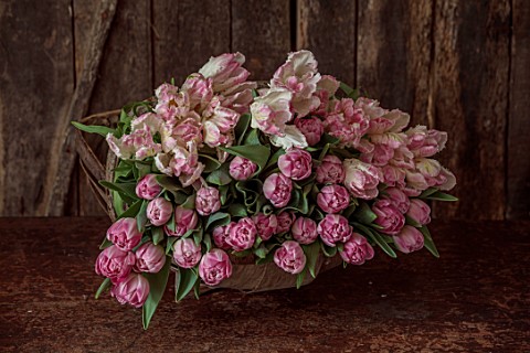 SMITH__MUNSON_LINCOLNSHIRE_TRUG_WITH_TULIP_CABANA_PINK_PARROT_TULIP_VOGUE