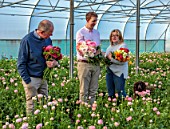SMITH & MUNSON, LINCOLNSHIRE: JO, ED AND STEPHEN MUNSON HOLDING RANUNCULUS IN A GREENHOUSE