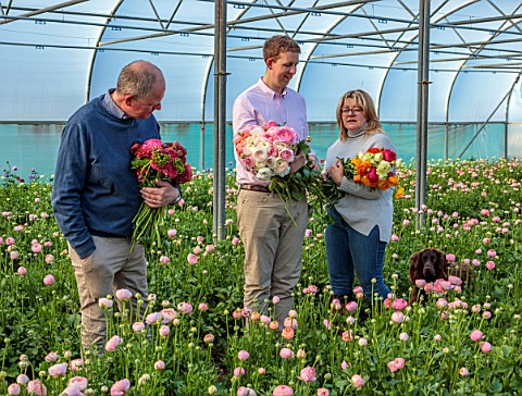 SMITH__MUNSON_LINCOLNSHIRE_JO_ED_AND_STEPHEN_MUNSON_HOLDING_RANUNCULUS_IN_A_GREENHOUSE