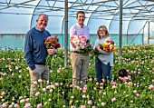 SMITH & MUNSON, LINCOLNSHIRE: JO, ED AND STEPHEN MUNSON HOLDING RANUNCULUS IN A GREENHOUSE