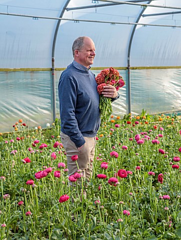 SMITH__MUNSON_LINCOLNSHIRE_STEPHEN_MUNSON_HOLDING_RANUNCULUS_IN_A_GREENHOUSE