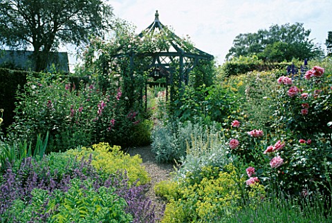 ROSA_ALOHA_CLIMBING_OVER_BLUE_GAZEBO_WITH_ALCHEMILLA_AND_NEPETA_IN_THE_FOREGROUND_AT_WOLLERTON_OLD_H