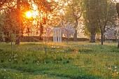 MORTON HALL, WORCESTERSHIRE: THE MEADOW AT SUNRISE. WHITE FLOWERS OF PRUNUS FRAGRANT CLOUD, SHIZUKA, SCENTED, APRIL, SPRING, TREES, DAFFODILS, NARCISSI