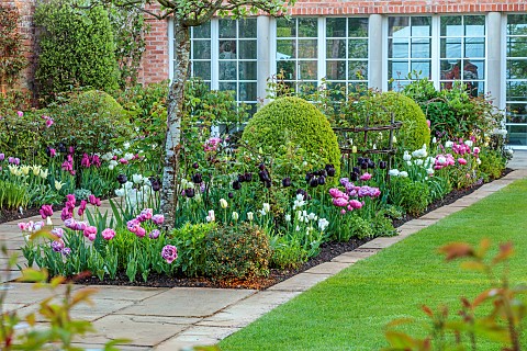 MORTON_HALL_WORCESTERSHIRE_BORDER_IN_SOUTH_GARDEN_LAWN_SPRING_TULIPS_SPRING_GREEN_BLUE_DIAMOND