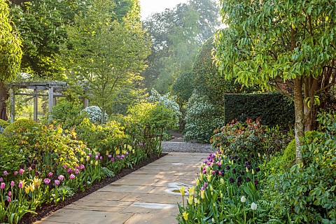 MORTON_HALL_WORCESTERSHIRE_BORDER_IN_SOUTH_GARDEN_SPRING_TULIPS_PATH