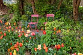 PATTHANA GARDEN, IRELAND: MAY, THE NEW TORC GARDEN MADE IN 2020, TULIPS, SPRING, MAY, PINK CHAIRS