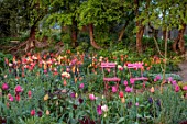 PATTHANA GARDEN, IRELAND: MAY, THE NEW TORC GARDEN MADE IN 2020, TULIPS, SPRING, MAY, PINK CHAIRS