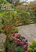 PATTHANA GARDEN, IRELAND: MAY, SPRING, SUNKEN PATIO, TULIPS IN CONTAINERS, STEPS UP TO LAWN