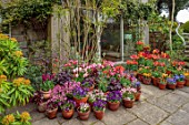 PATTHANA GARDEN, IRELAND: MAY, SPRING, SUNKEN PATIO, TULIPS IN CONTAINERS, HOUSE