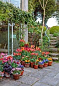 PATTHANA GARDEN, IRELAND: MAY, SPRING, SUNKEN PATIO, TULIPS IN CONTAINERS, HOUSE, STEPS