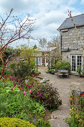 PATTHANA_GARDEN_IRELAND_VIEW_DOWN_STEPS_TO_SUNKEN_PATIO_TABLE_AND_CHAIRS_BORDERS_TULIPS_SPRING_MAY
