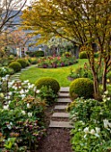 PATTHANA GARDEN, IRELAND: PATH, PAVING SLABS, BOX BALLS, WHITE FLOWERS OF TULIP PURISSIMA, LAWN, BORDERS, MAY, SPRING, CANDLES
