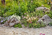 CHELSEA 2022: A SWISS SANCTUARY BY LILLY GOMM: ALPINES BESIDE GRAVEL PATH, ROCKS