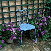 A PLACE TO SIT: BLUE PAINTED C19TH FRENCH CONSERVATORY CHAIR SURROUNDED BY CONTAINERS OF VIOLET PETUNIAS. BRICK TERRACE AND PAINTED TRELLIS ON WALLS. DESIGNER: ANTHONY NOEL